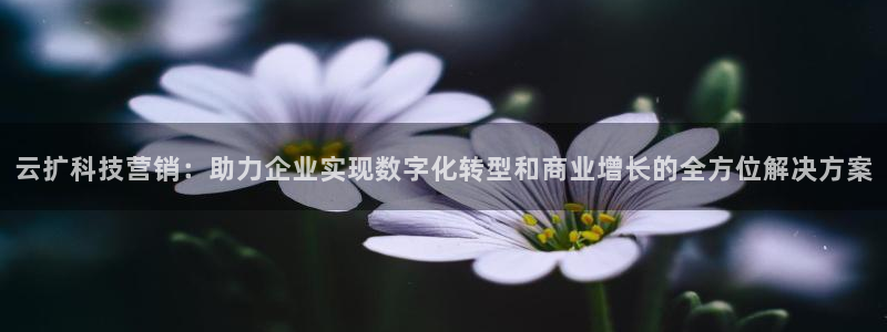 金年会体育app下载官网安卓版