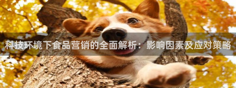 金年会官方在线入口网站下载