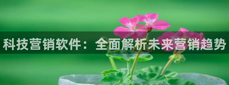 金年会网址有吗