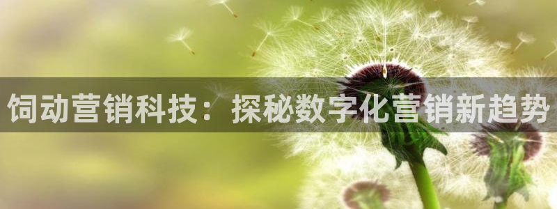 金年会官方进入2023