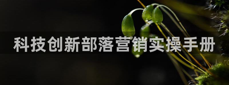 金年会体育全站app