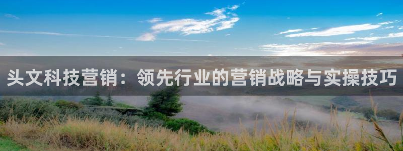 金年会平台官网