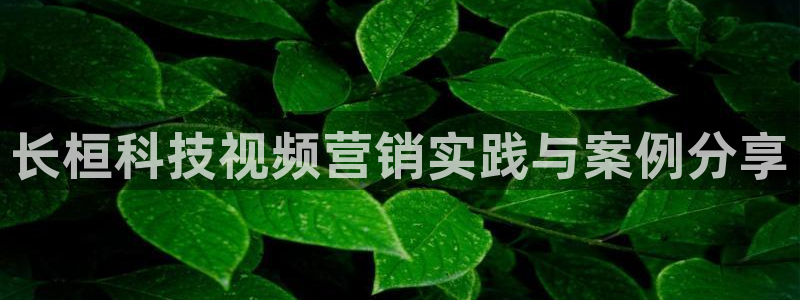 金年会体育登陆