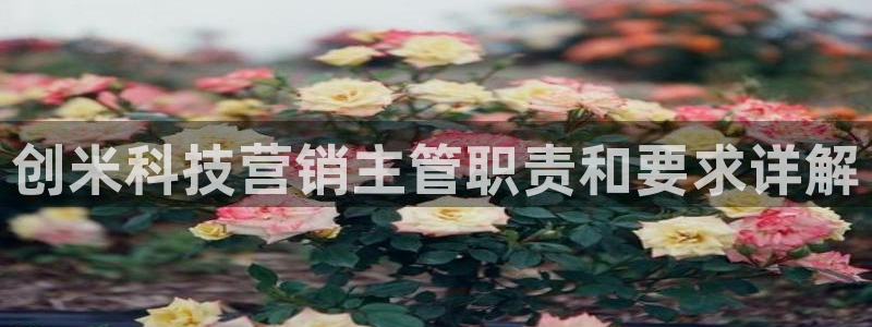 金年会体育官方