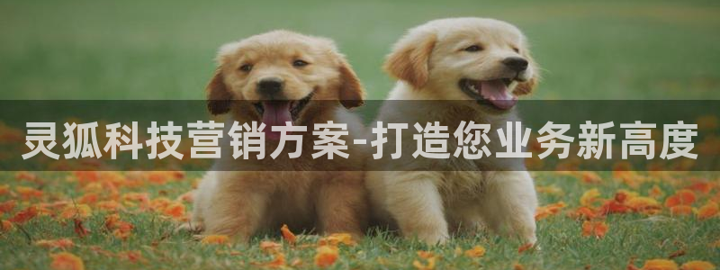 金年会VIP网页版在线登录入口