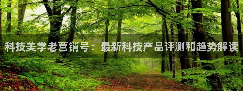 金年会网站怎么样