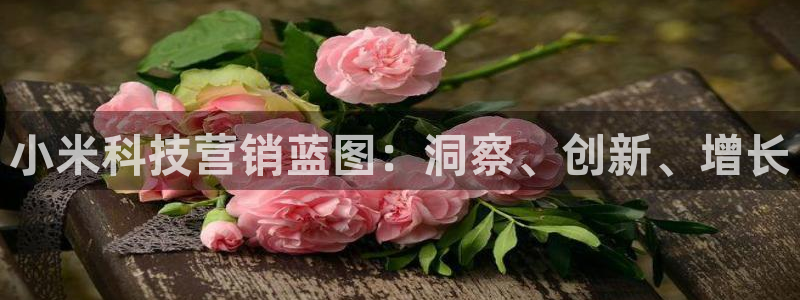 金年会平台官网登录