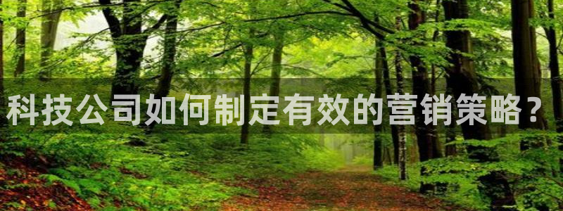 金年会体育买球app下载安卓