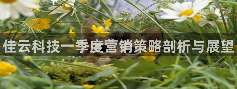 金年会app下载官网登录入口