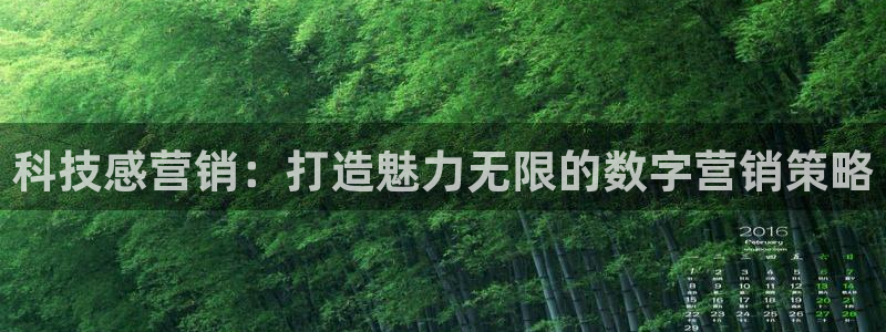 金年会会不会提不了款