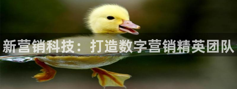 金年会app下载官网登录入口