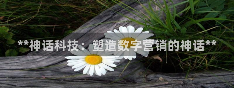 金年会-金字招牌信誉至上