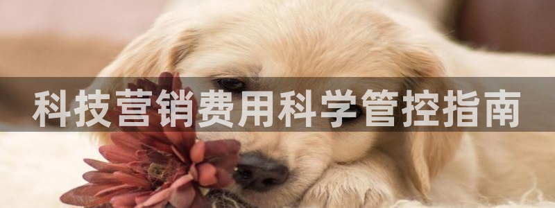 金年会App官方下载