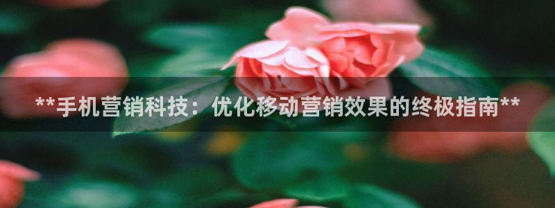 金年会体育黑钱吗