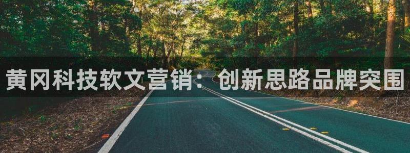 金年会今年会官方在线登录