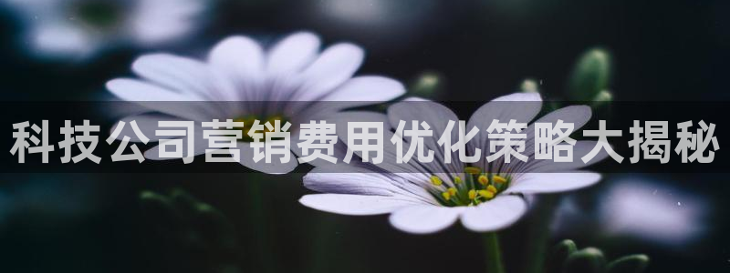 金年会app登录官网下载