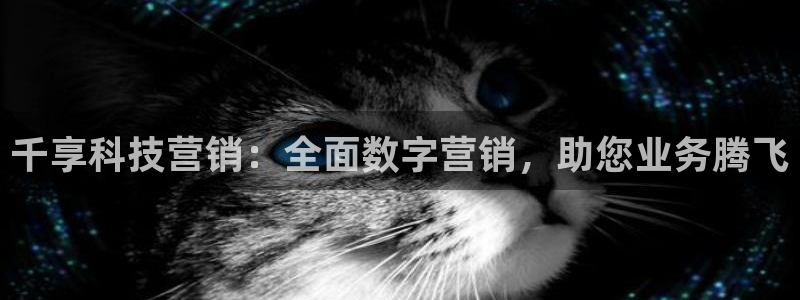 金年会是什么平台
