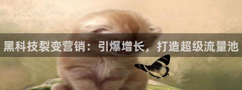 金年会官方app下载最新版