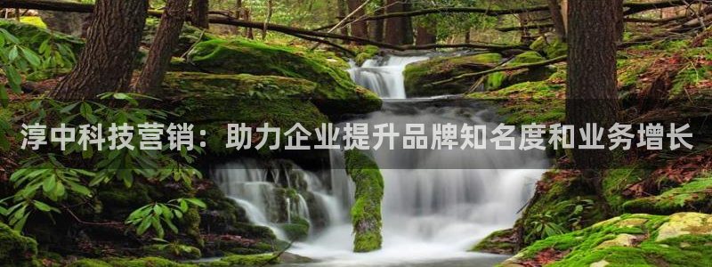 金年会官方网站首页入口