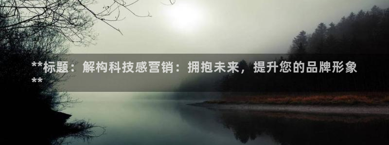 金年会官方入口2023