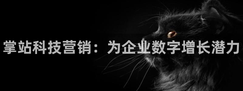 金年会vip网页版在线登录入口下载