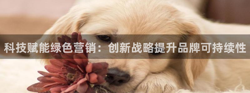 金年会网站入口官网