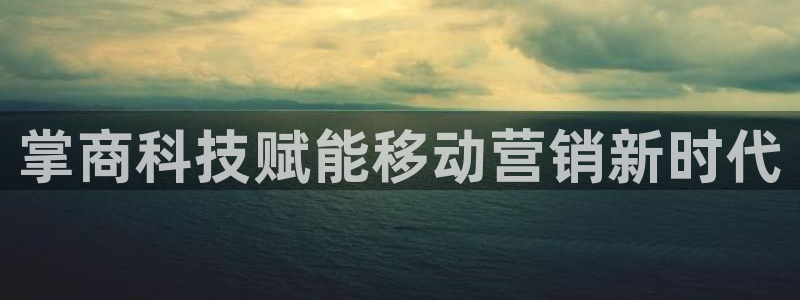 金年会jinnian体育下载app