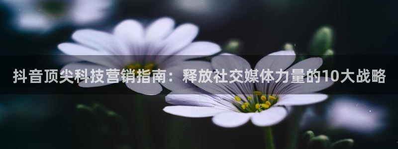 金年会app官方网站下载