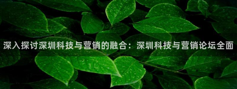 金年会官方在线入口网址查询