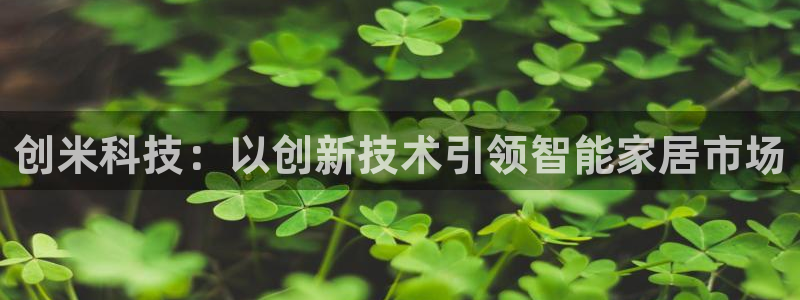 金年会体育app最新官网入口
