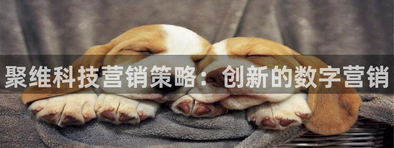 金年会体育官方微博