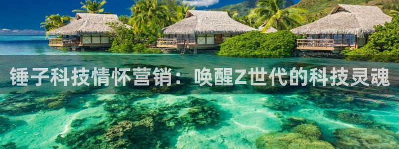 金年会体育网页版