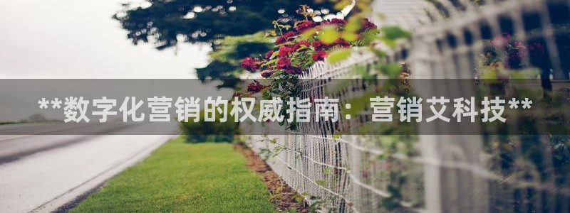 金年会体育官网