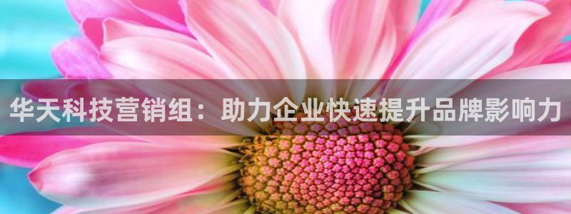 金年会电子app官方下载