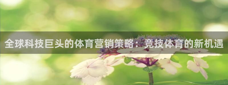 金年会体育app最新官网下载安装