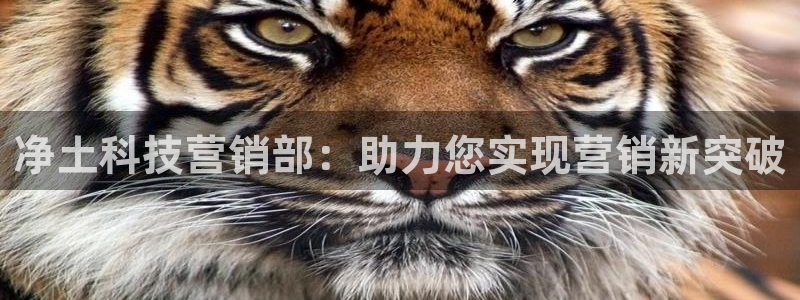 金年会手机网页版下载