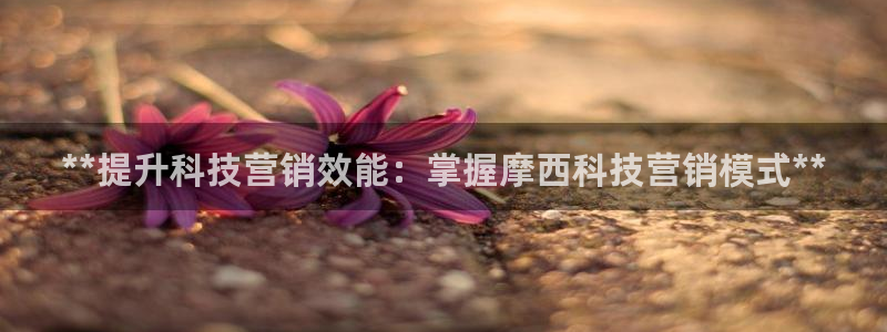 金年会体育app下载官网苹果手机