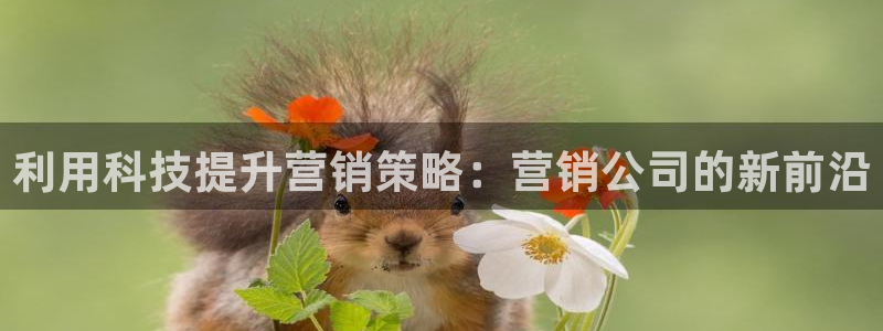 金年会app官网免费下载