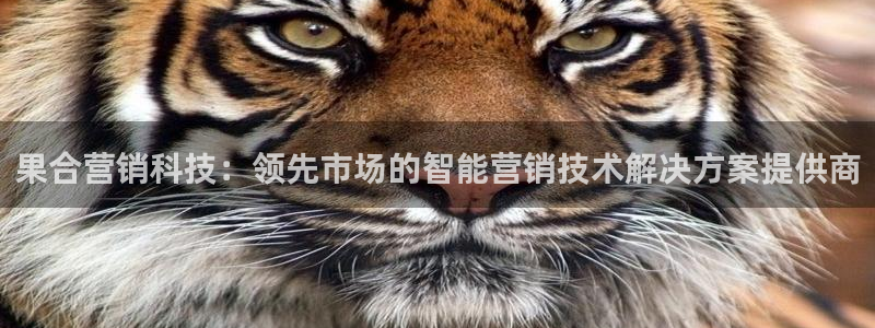 金年会app官网