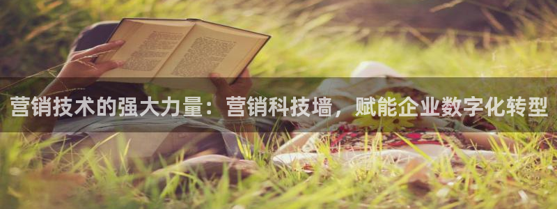金年会app平台有人玩过吗