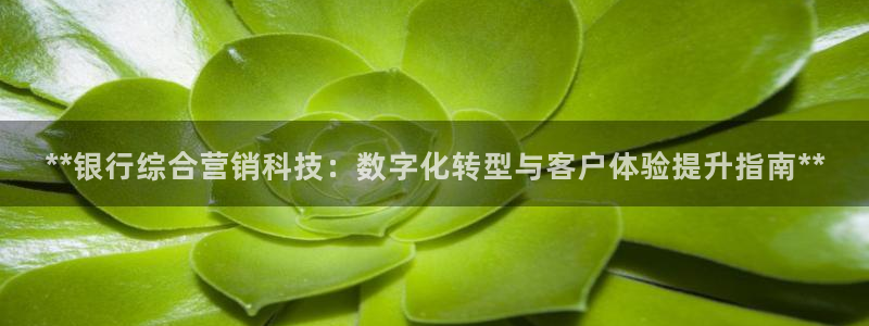 金年会体育平台官网app