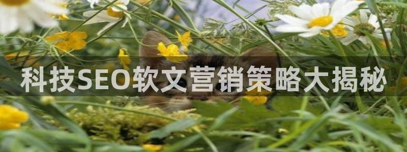金年会体育app官网入口下载