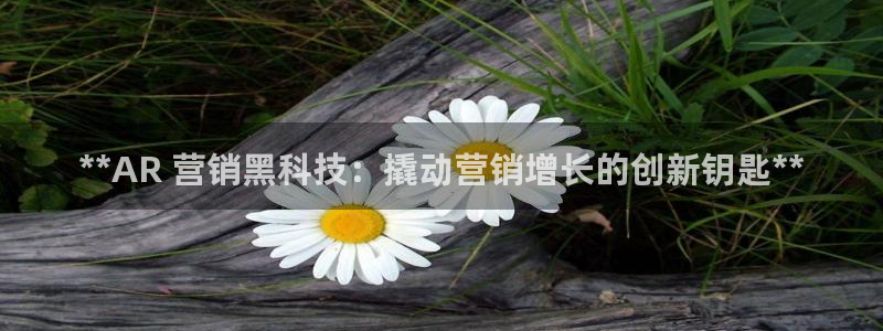 金年会官方入口app