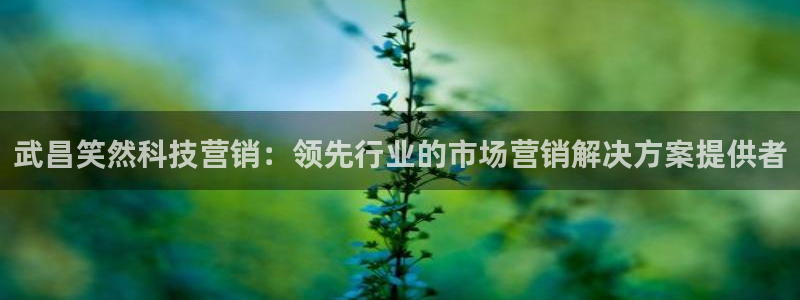 金年会赌博是诈骗