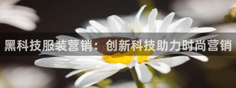 金年会体育论坛官网