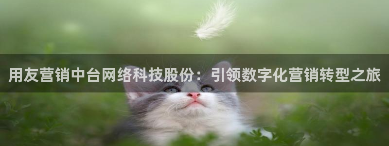 金年会官方app下载安卓