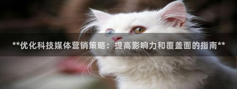 金年会电子游戏怎么玩