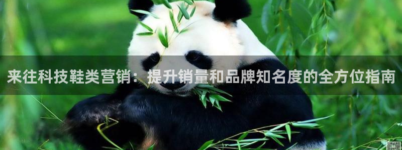 金年会体育app平台怎么样