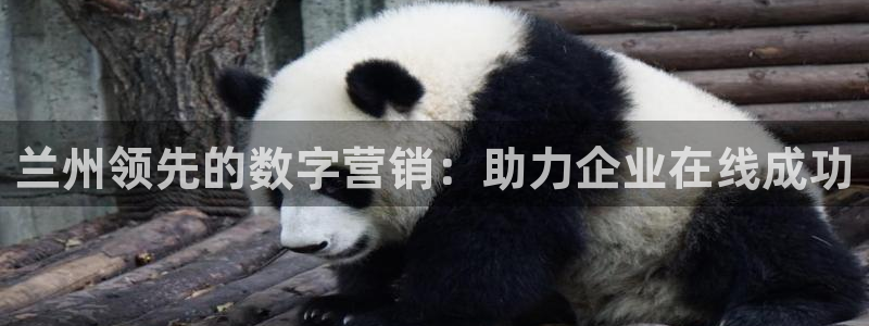 金年会体育网址是多少