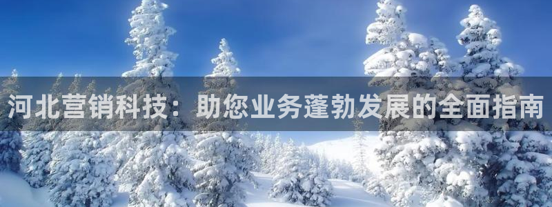金年会下载软件